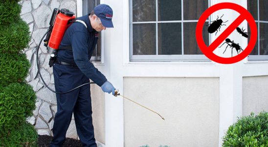 Divriği Böcek ve Haşere İlaçlama böcek ilaçlama ve haşere kontrolü — ilaclama-tr.com